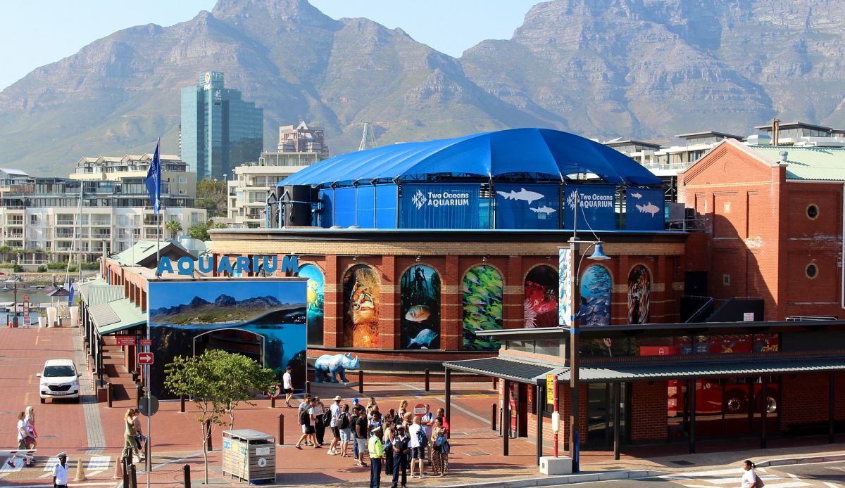 A City Sightseeing red bus on the Table Mountain route